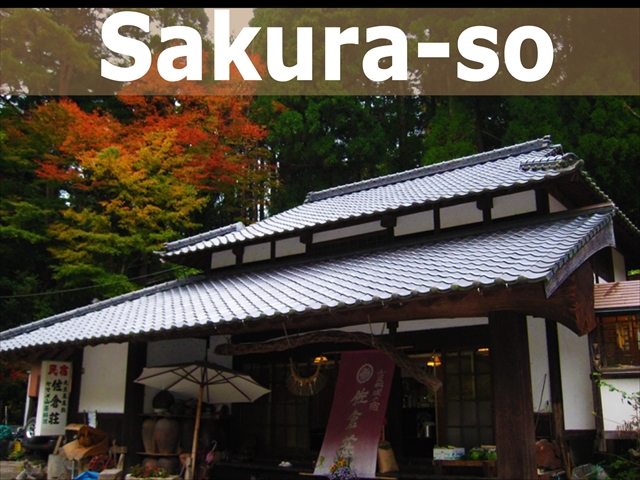 banner sakura_R